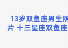 13岁双鱼座男生照片 十三星座双鱼座